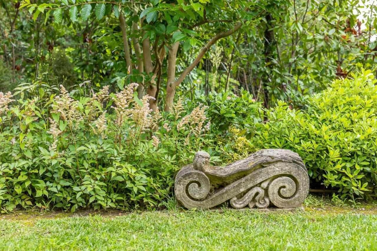 Villa Delle Edere Brienno Zewnętrze zdjęcie