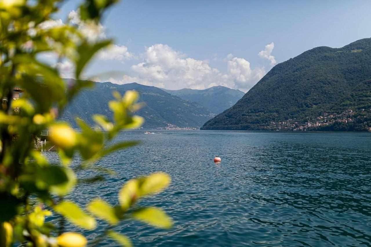 Villa Delle Edere Brienno Zewnętrze zdjęcie