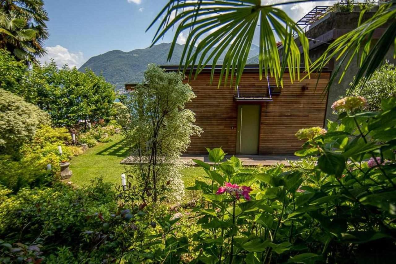 Villa Delle Edere Brienno Zewnętrze zdjęcie
