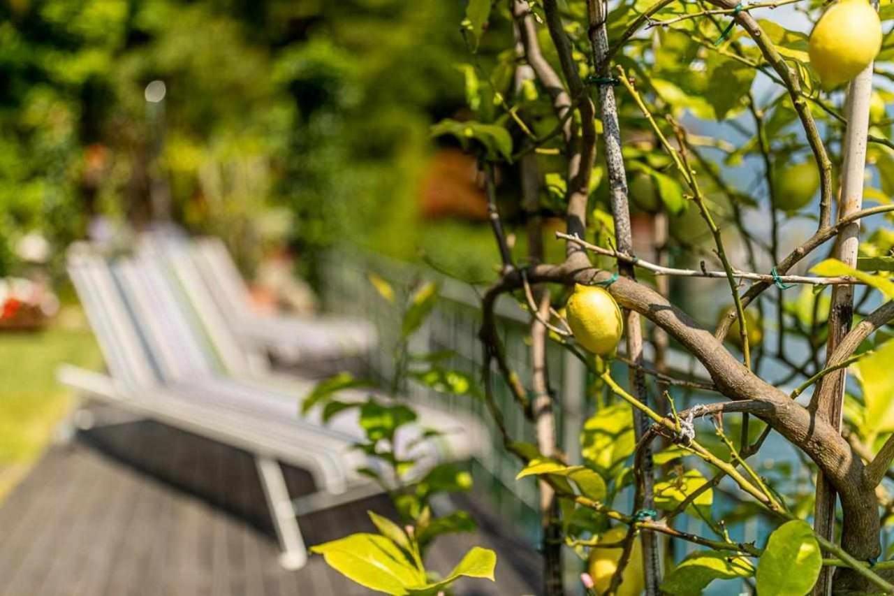 Villa Delle Edere Brienno Zewnętrze zdjęcie